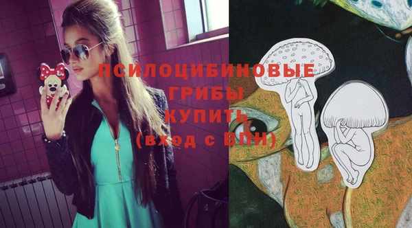 гидропоника Аркадак