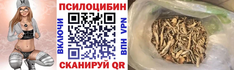 площадка телеграм Валуйки Псилоцибиновые грибы GOLDEN TEACHER