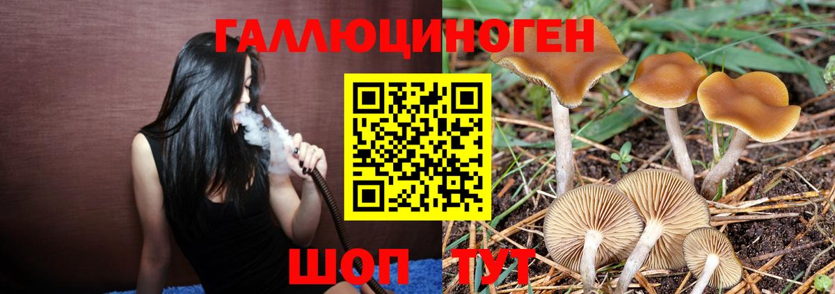 Валуйки  Галлюциногенные грибы GOLDEN TEACHER  Псилоцибиновые грибы мицелий  Вход с VPN 